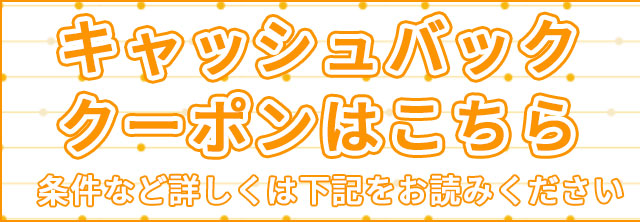 SKE48 X au Campaign